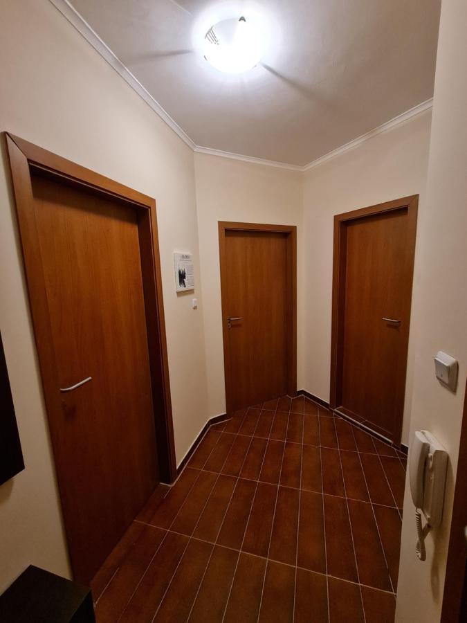 Bansko Vibes Apartments - Flora Boutique エクステリア 写真